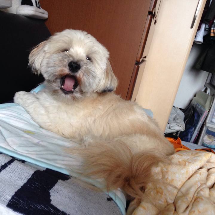 E1c43673 3718 4cb4 a7a0 82b58e924dfc