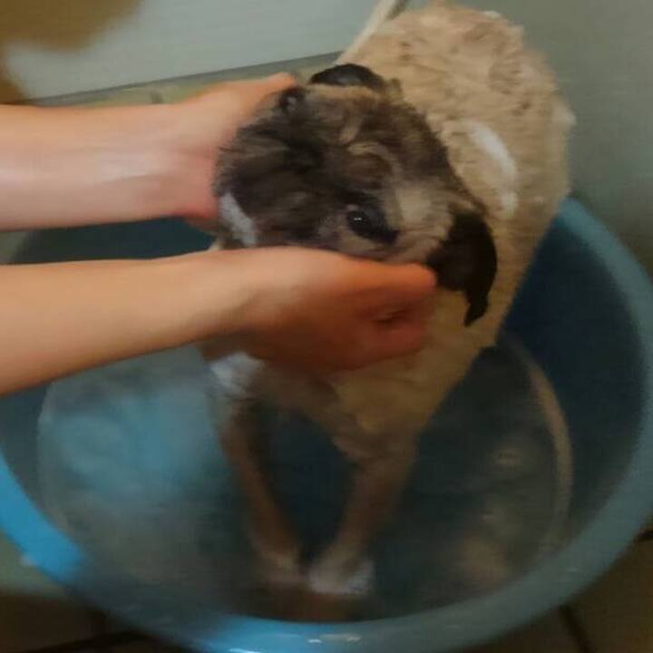 E1c4b897 e81e 4cef ab98 07c1f978d034