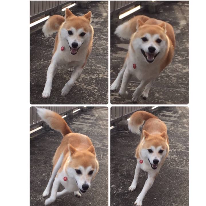 E1c4fab5 932b 4229 9778 b1976aa6ff52