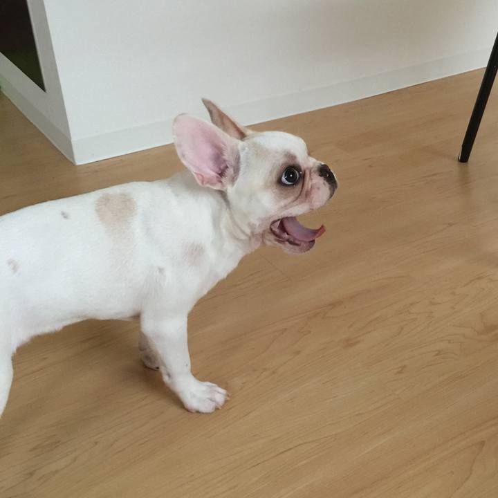 E1c576e5 c2b9 441f b6ee 7466e6bf9243