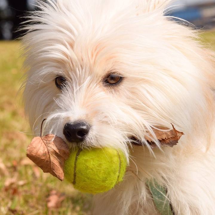 E1c57843 0151 46a3 9c06 f1472f53c530