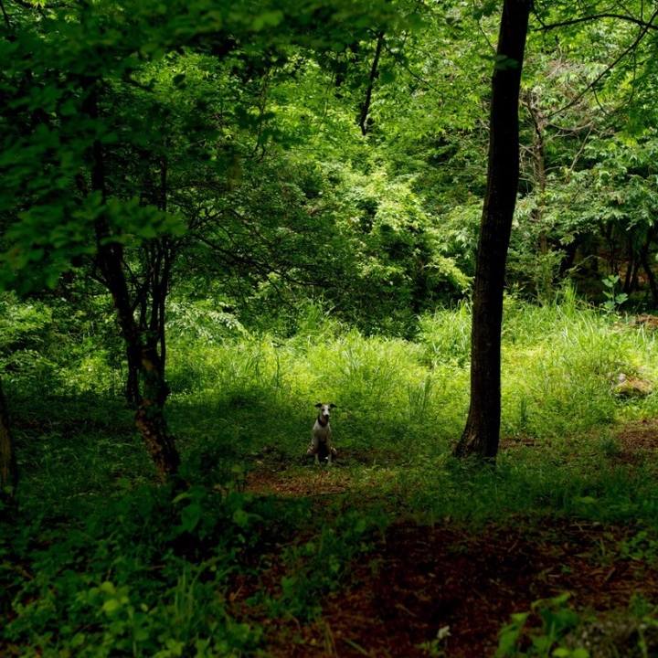 E1c5a481 ba07 47f8 bb6a f33debf61b2f