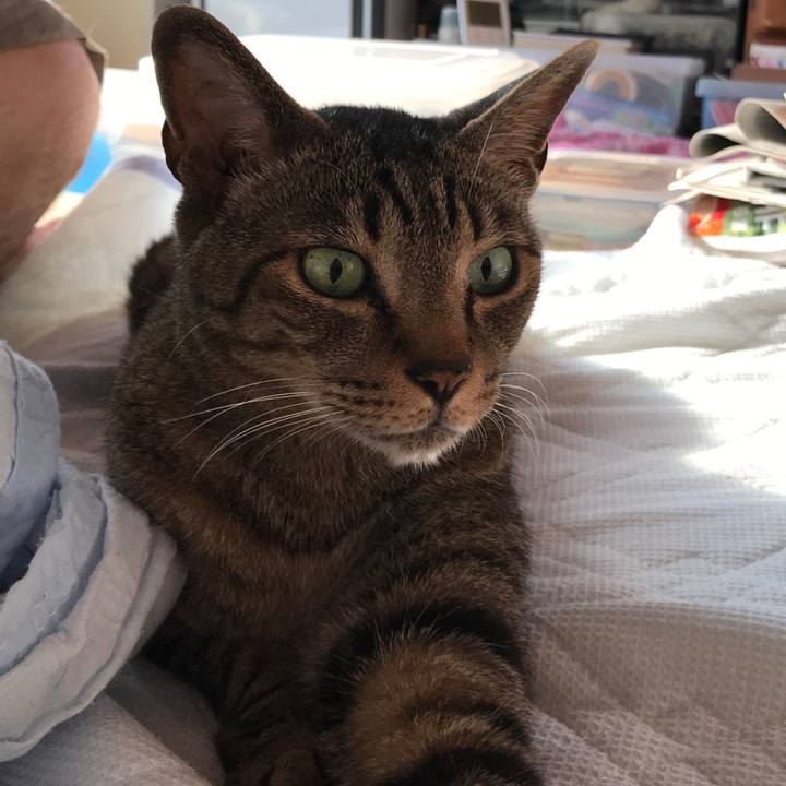 E1c5b1db d2bd 4ae3 8254 6674f81148b6