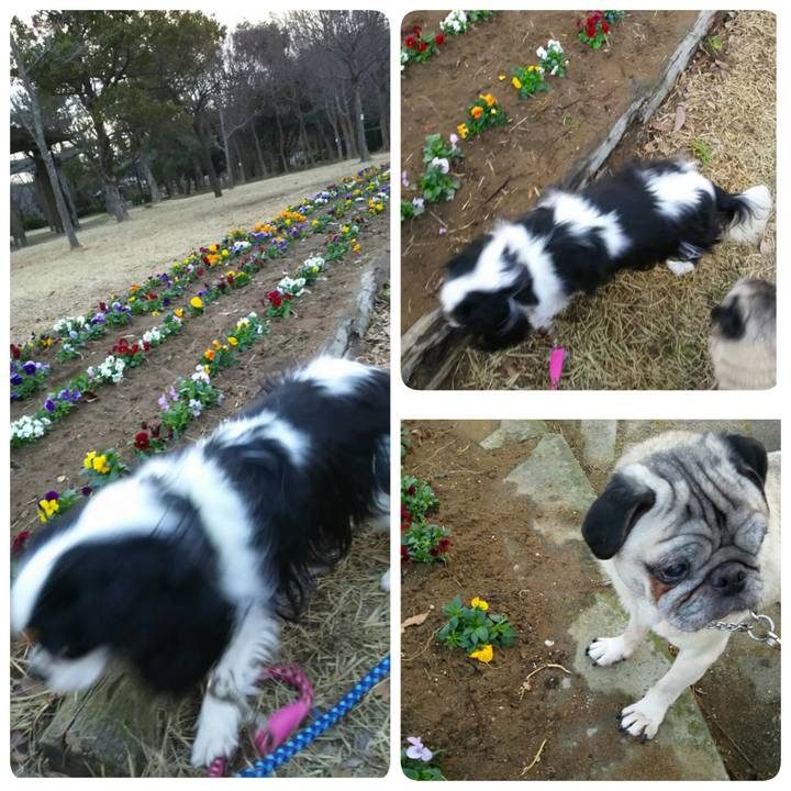 E1c677f2 3f02 4bfb 9705 760b8915e06f