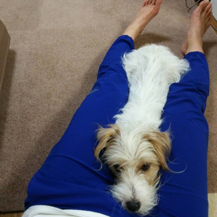 E1c6ac4c 1fa3 44ac a18b e7531cad7a41