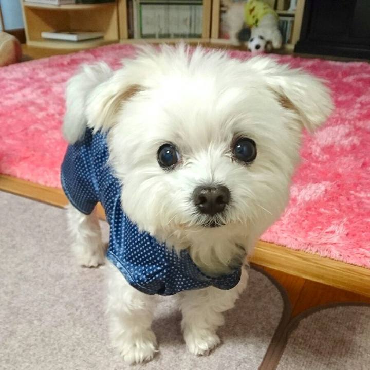 E1c7a6cf 03a7 4ba0 bf4d 846682255ea8