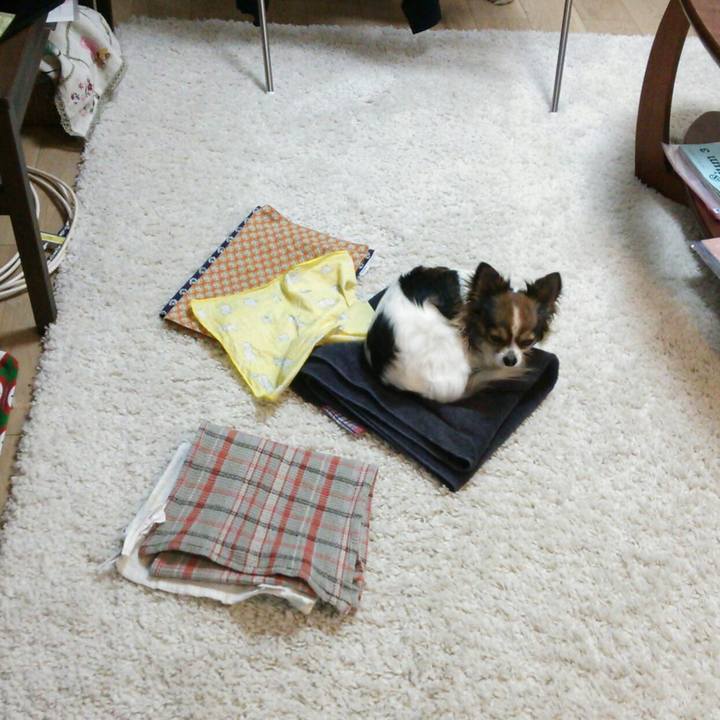 E1c7beaa 2594 4105 9d93 24c06f01f540