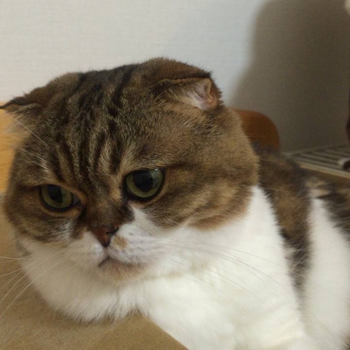 E1c7e83d a03d 44ff 82a8 df52ede44934