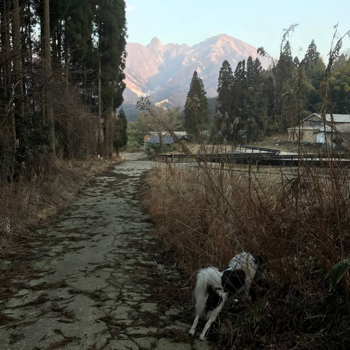 E1c9a409 f921 43ef 8080 e99e6d5ead2f