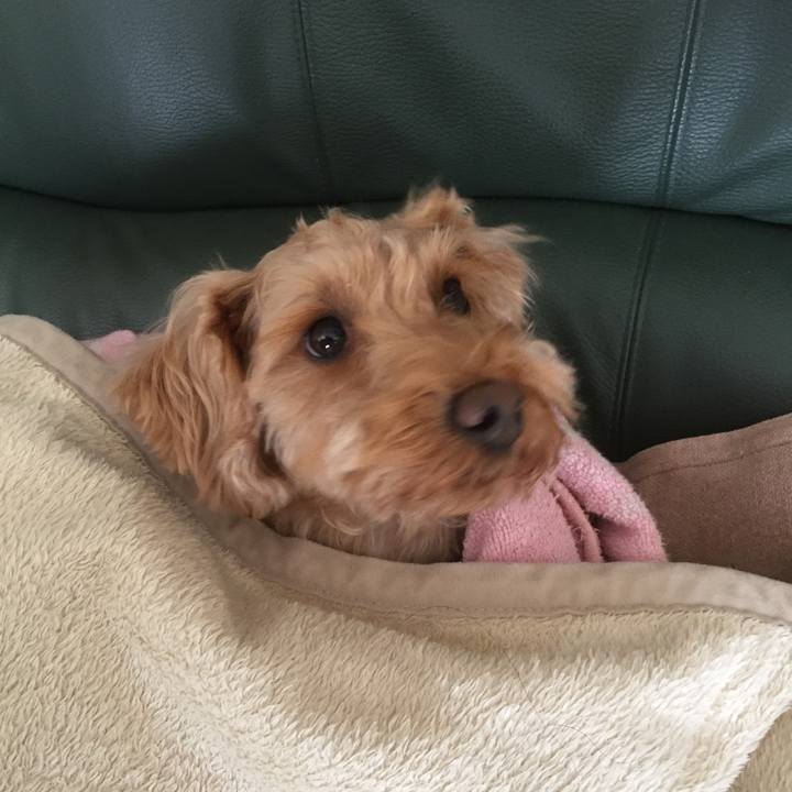 E1cb5434 4814 4edd 8a4f 0eea750d3c68