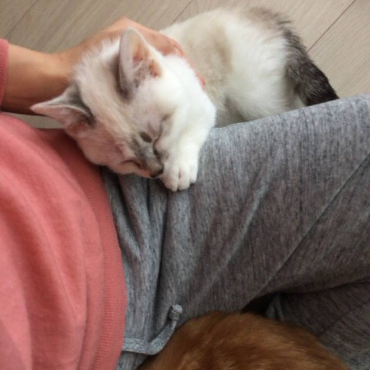 E1cb6ba5 2f61 413d 9e1b 4116c73f9bab