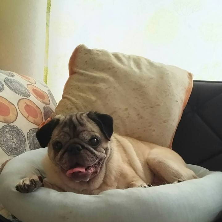 E1cb8f58 0ddd 496d a8f5 a506063f487b