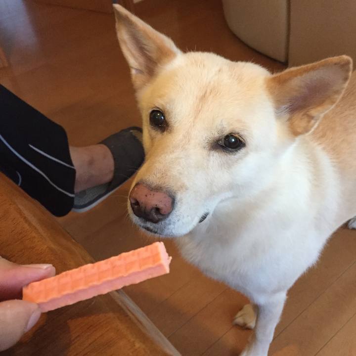 E1cc3507 b48d 4e85 a29a 7a4470ba16a1