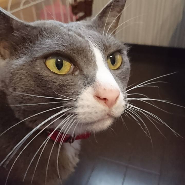 E1cc4c08 983e 4fb3 a89d a0c214e369ad