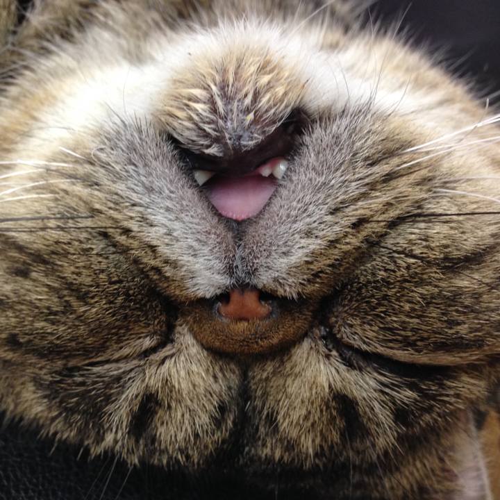 E1ccc25c fb5d 466f 8195 2315db392814