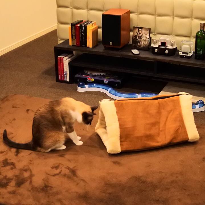 E1ccd047 6dd4 43ea 86ef d8be0d337a00