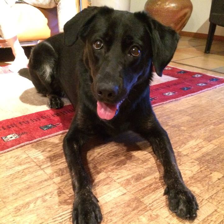 E1ccdabc 4742 46d1 bea8 922e520159d3