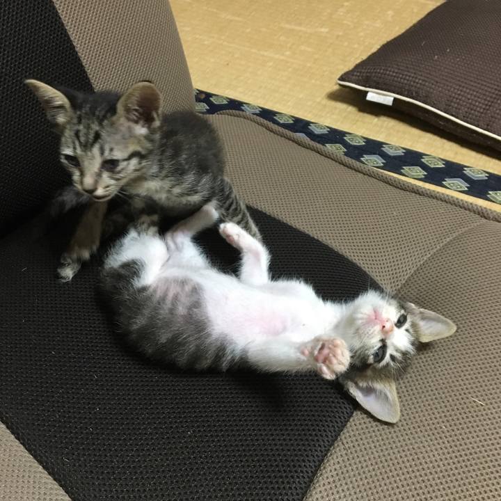 E1ccde7f e37f 4c41 8bd6 5b7209944e8d