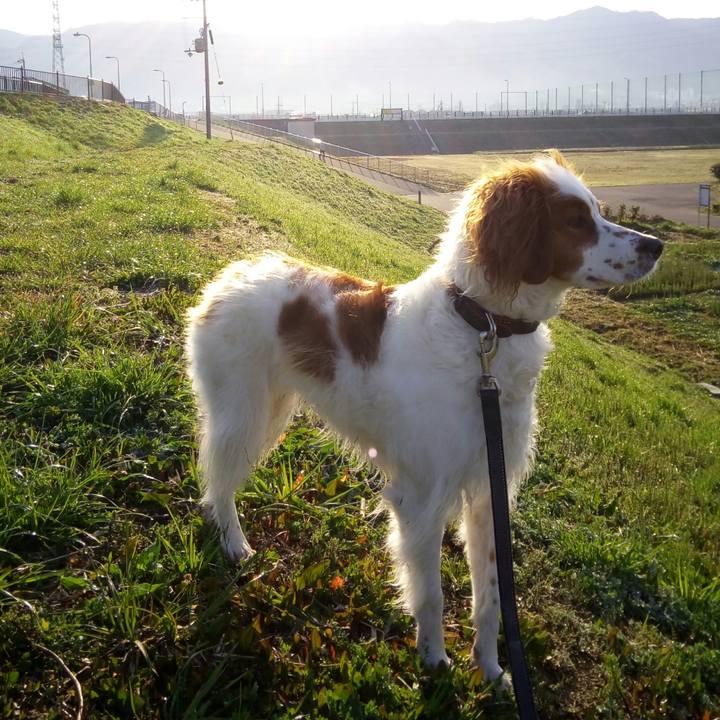 E1cd8eea 9c93 459a b9d7 20b8bb49eba3