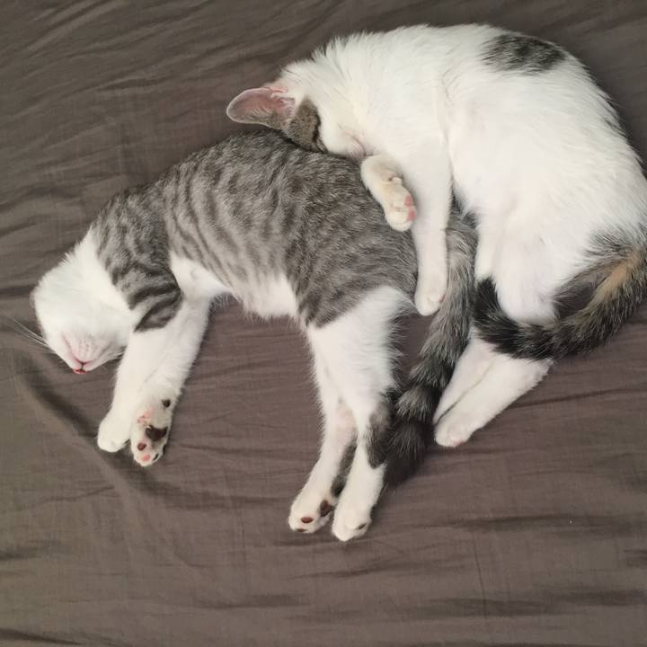 E1cd951b b22f 41c9 9720 96dbec2d9fa5