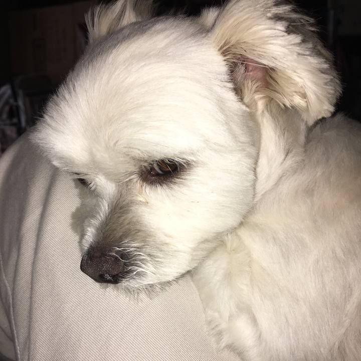 E1cdb391 b08d 4f9a 9243 afa558b2931c