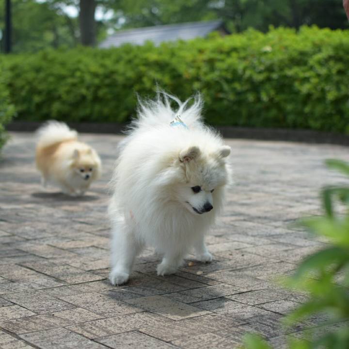 E1cdb7c3 b5a6 45ec 9523 736fb41ae309