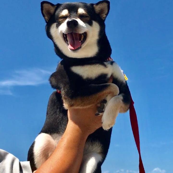 E1ce35d8 2d53 4c2a a3d5 e77a547f6d86