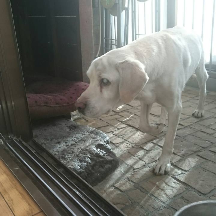 E1cea8d8 f80f 4bfb b23d 5f6cb8c33c80