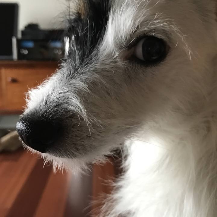 E1cecb95 828b 48e6 b300 6a146a906ce2