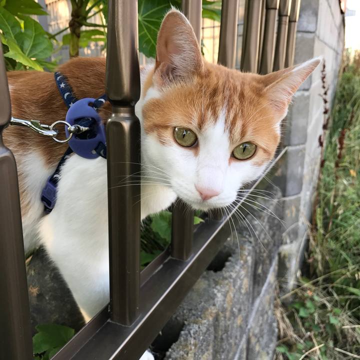 E1cee1e0 31dc 4c56 aab1 2a1a328c8ad9