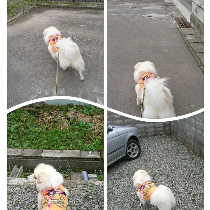 E1cf29a7 c653 41d7 93b7 6c604295d66c