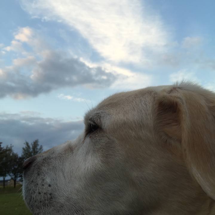 E1cff7f7 7c90 4a60 83bc f5e3e761c2a1