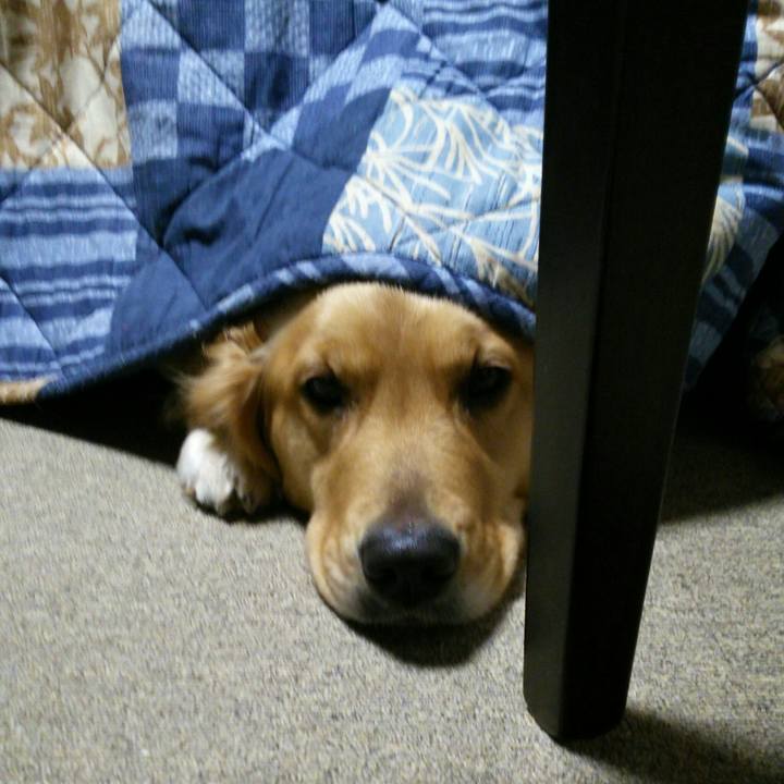 E1d00e08 57bf 4946 ae26 47c234906fe4