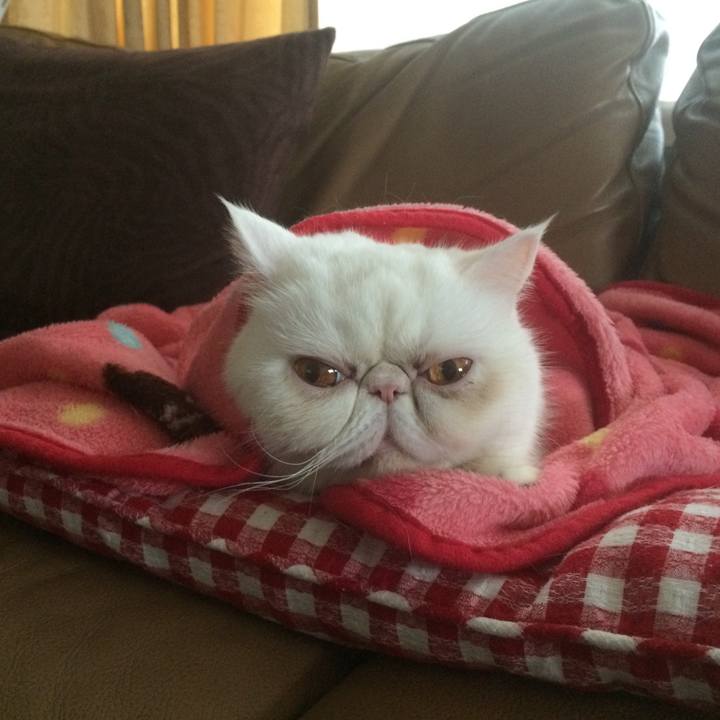 E1d05d57 b7ee 4008 8aa7 a3e091cca255