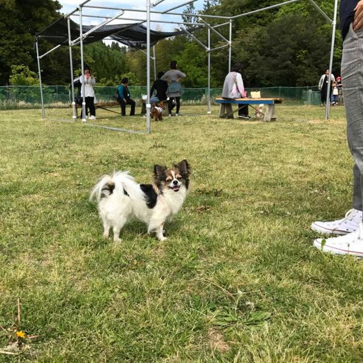 E1d06ae6 56ca 4772 ac14 3f897a38ed78