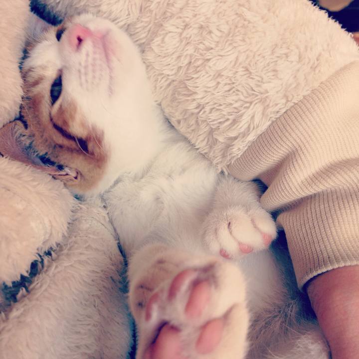 E1d08efc 1011 4c77 8c1c 285fc9d5ca04