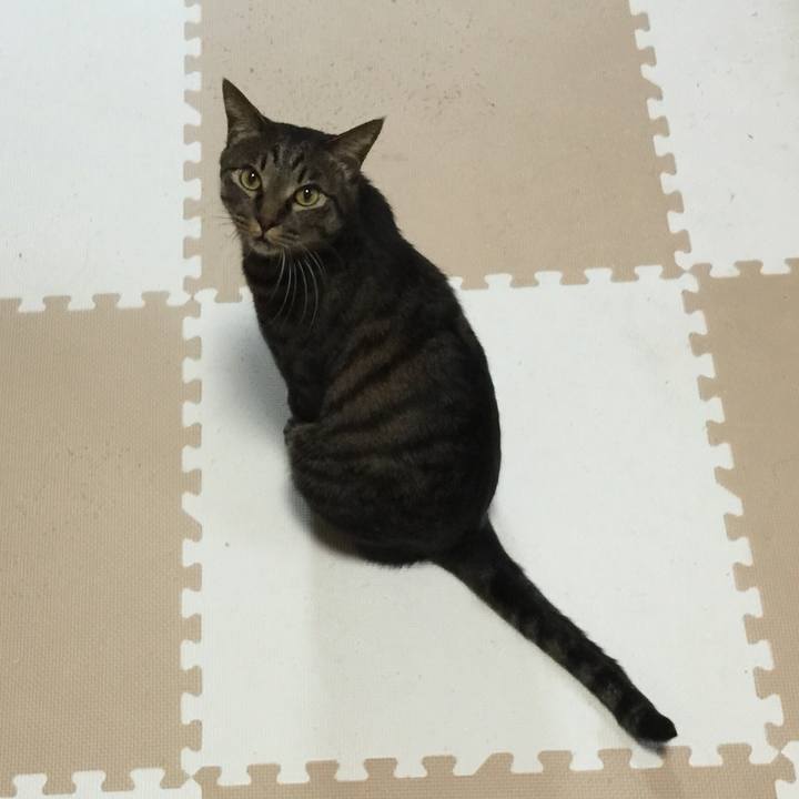 E1d0e615 3073 4b0f ba72 91f66611115a