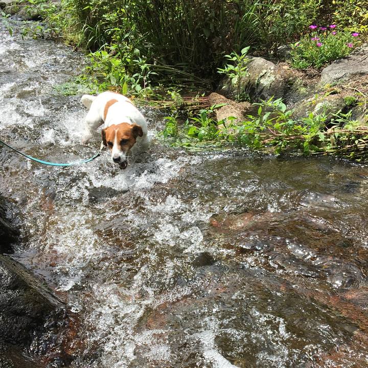 E1d0eb19 806d 4633 b2a8 0c2aeb36c788