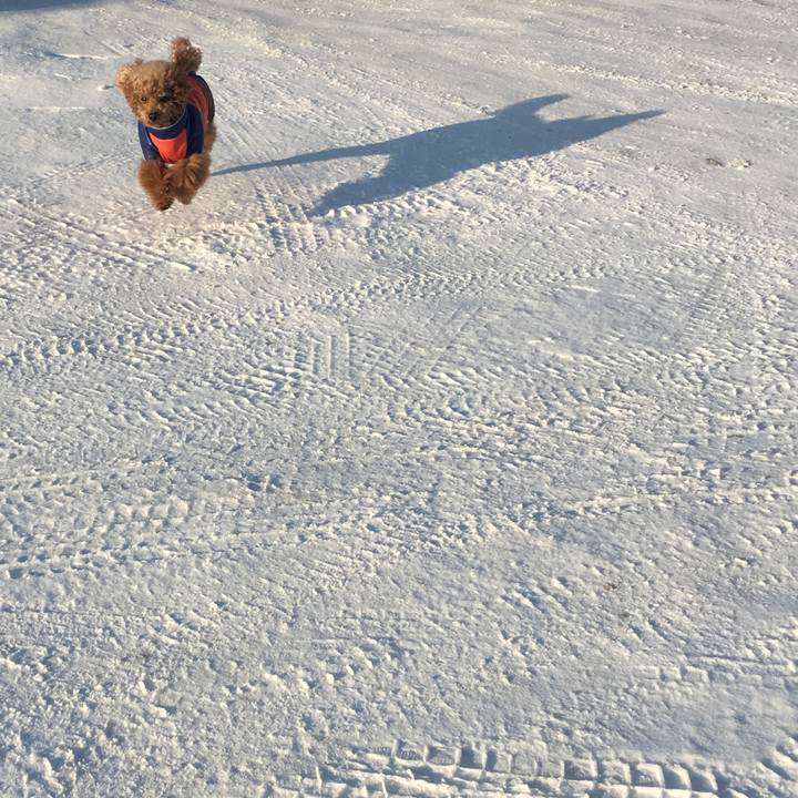 E1d10a4e 7c77 4f94 97eb aba7ac868892