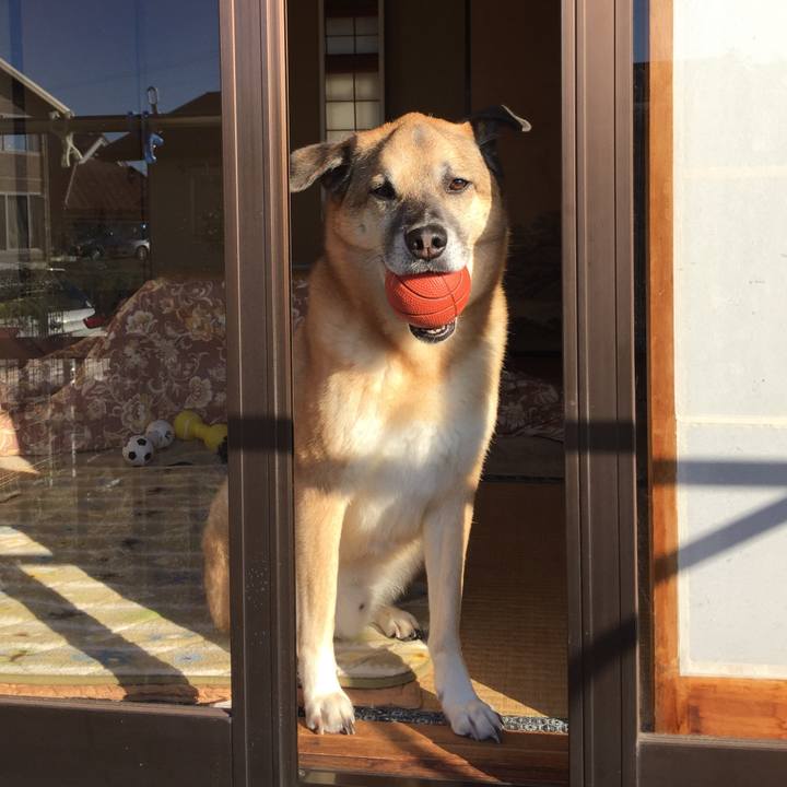 E1d14dbf a37d 4684 8200 61289c5cdb3e