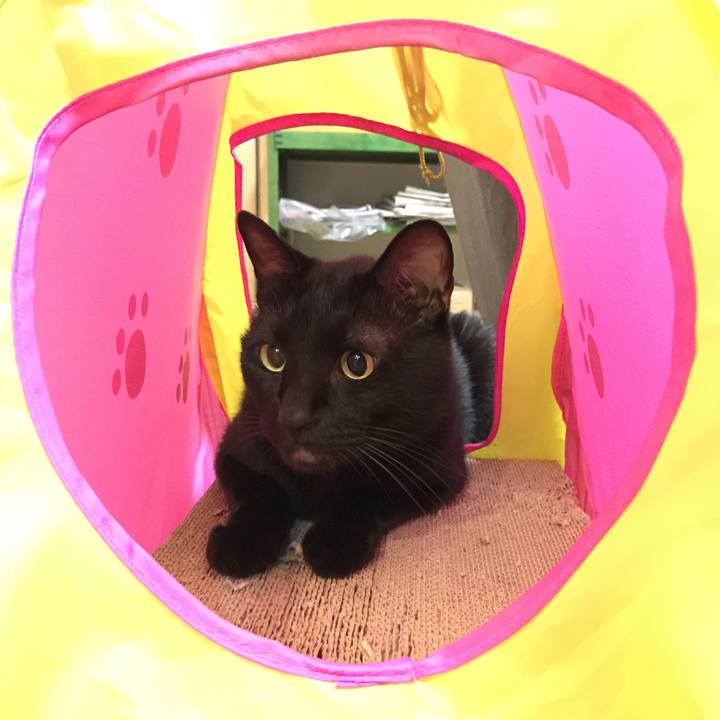 E1d1788f 4da2 4d4b bf9a d8f3450f1fcc