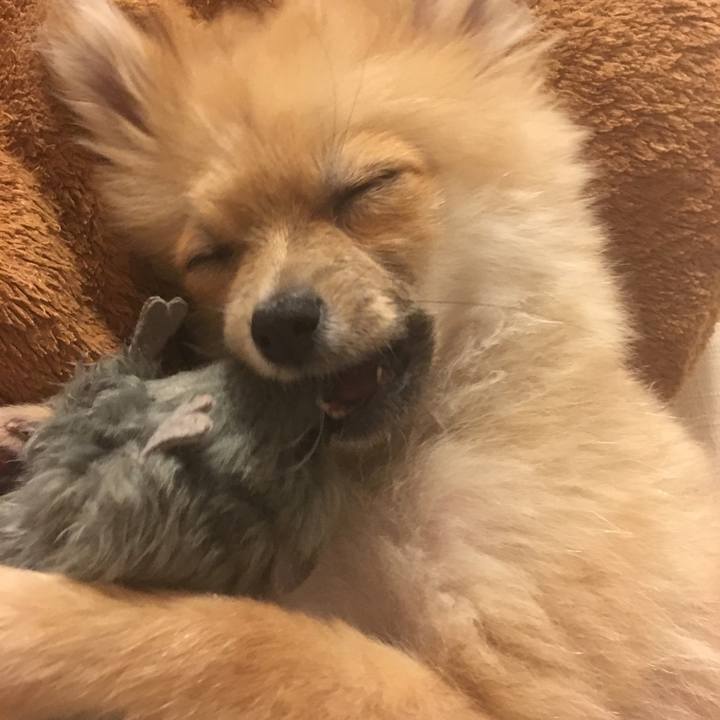 E1d1d649 bcda 44a1 b737 07a5622cff70