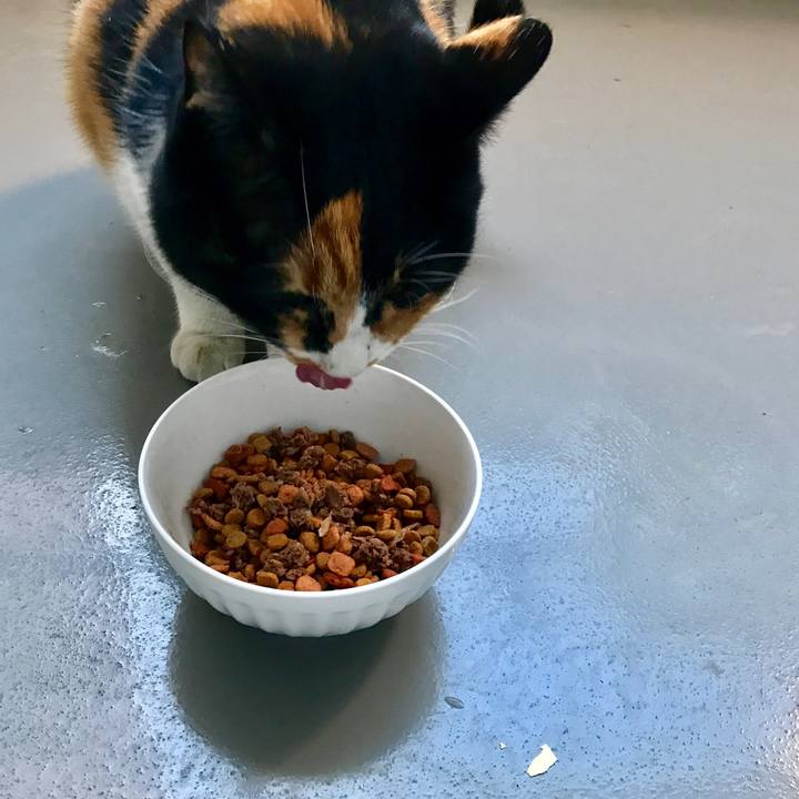 E1d2087b 9061 4643 8338 ad93d63e5837