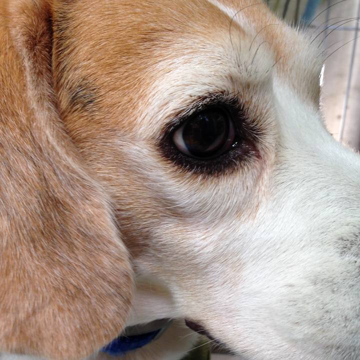 E1d218a4 b5c5 4a5e acec e0480c2d45c4