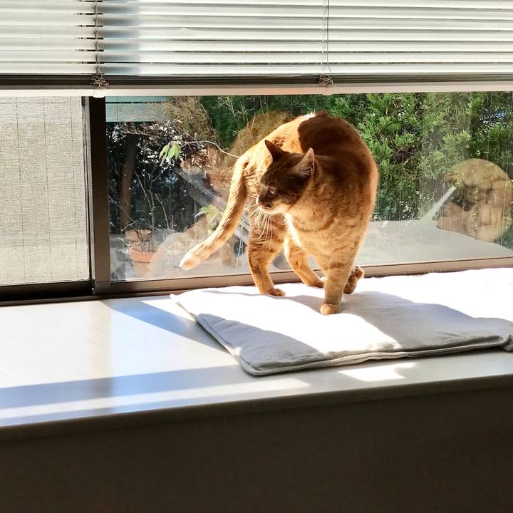 E1d3e8eb e3cf 4869 9a31 5b39c882803a