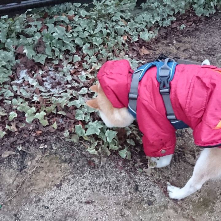 E1d3fd1d e79b 4afb 8e46 1d84c6ffa133