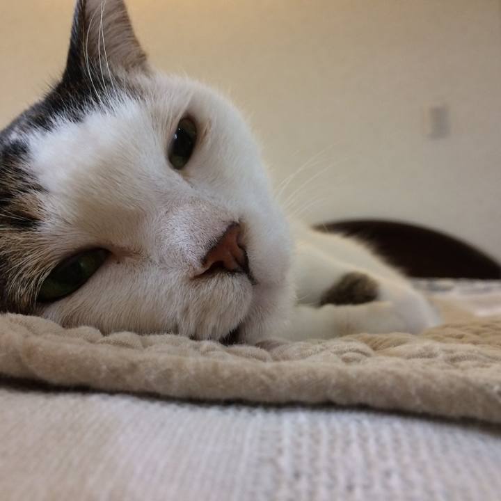 E1d47fa2 5cf8 4b5e bdcf 343f5ae0d24d