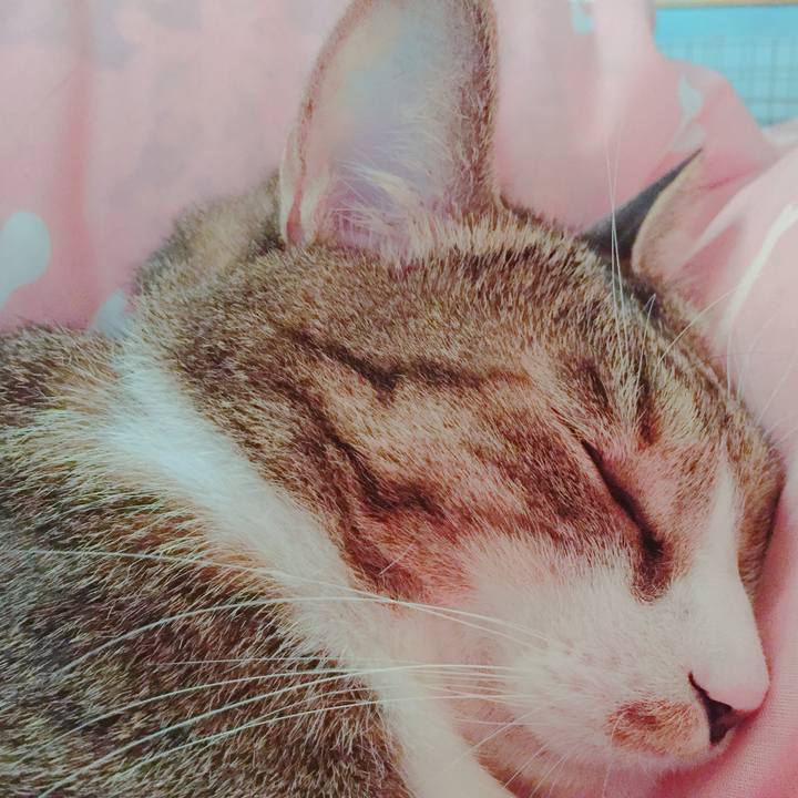 E1d53214 33b5 4fb0 89ba 8291560da3a1