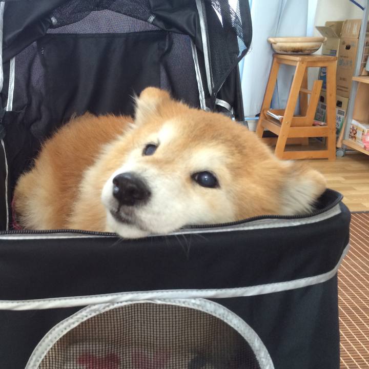 E1d56542 bc8f 42ec 8144 8097a3d7824d