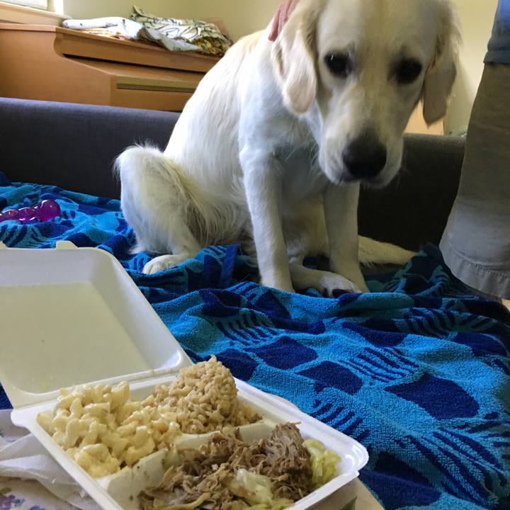 E1d60ea2 a753 4c4a a2da c3e1b906361c